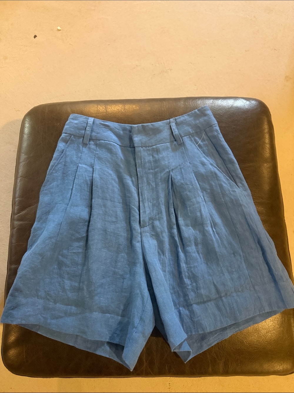 Sophie Rue Light Blue Pleated Men’s Shorts